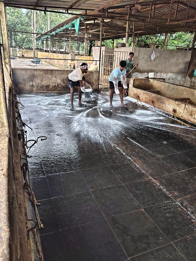 Concrete shed floors being washed down