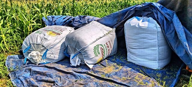 Silage stored in sealed bags